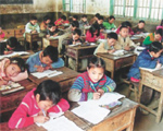 Baby Bamboo Operation provides Mainland students a chance of study